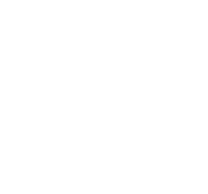 Профессиональная команда